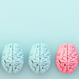 Como evoluciona tu cerebro con los años