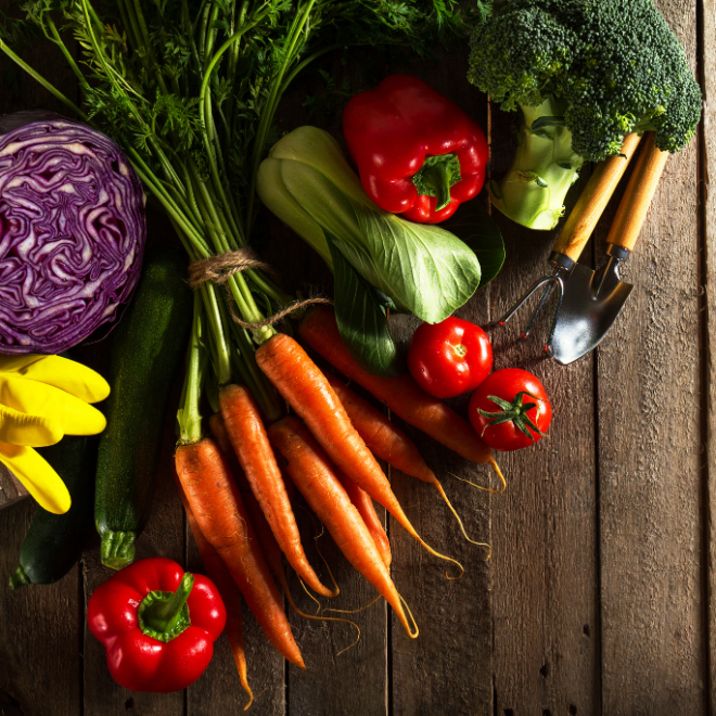 7 razones para incluir más vegetales en tu dieta diaria