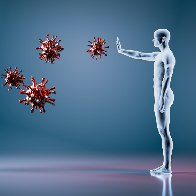 Sistema inmunitario: la primera línea de defensa del cuerpo