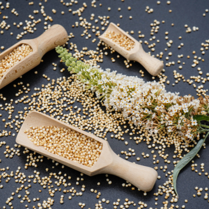 Quinoa: una gran fuente de proteínas