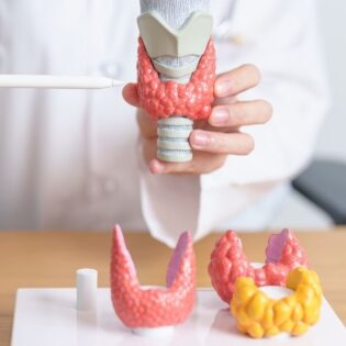 Tiroides: Hipertiroidismo y hipotiroidismo