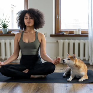 El Doga: conexión perfecta entre perros y humanos a través del yoga