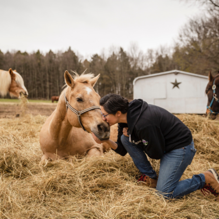 Terapia: Animales al rescate