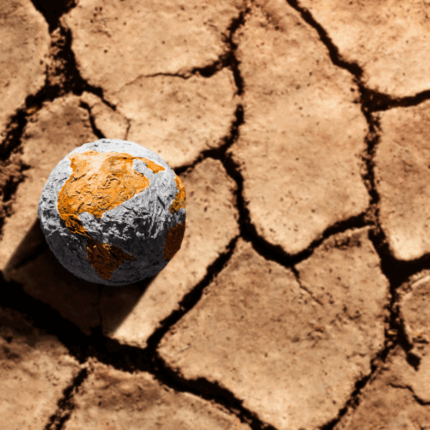 Crisis climática en México: sí, es grave, pero puedes ayudar (y no solo con hashtags)
