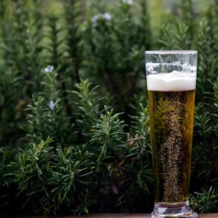 Profeco advierte sobre cerveza con alto contenido de azúcar