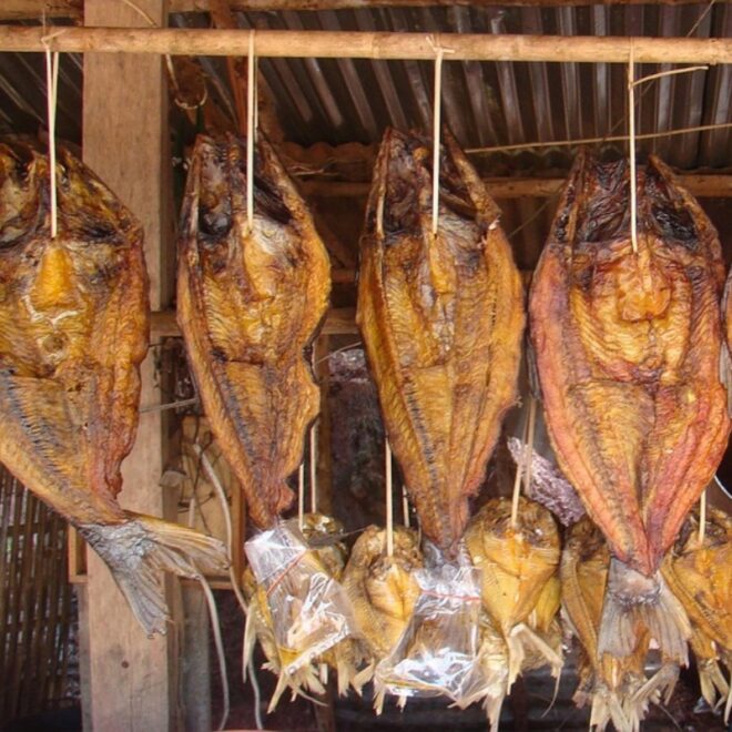 El pescado seco podría ser un superalimento, según especialistas El pescado seco podría ser un superalimento, según especialistas