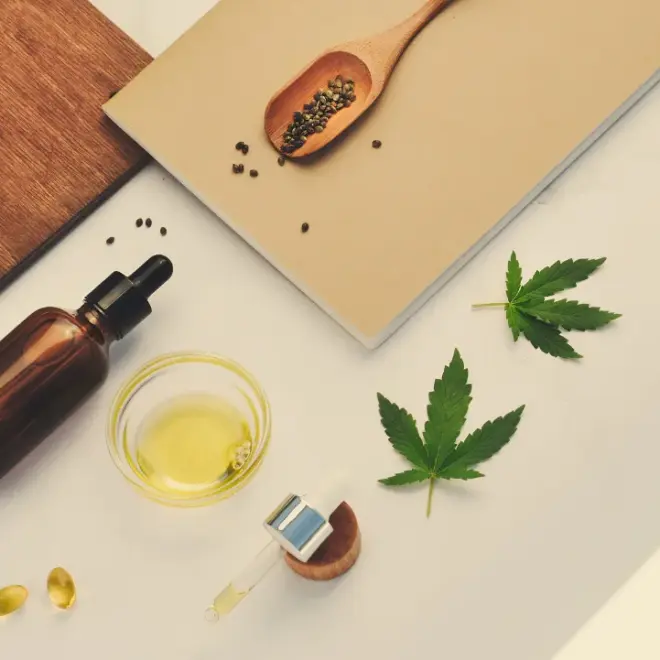 El despertar natural: Cómo el CBD transforma el bienestar en México El despertar natural: Cómo el CBD transforma el bienestar en México